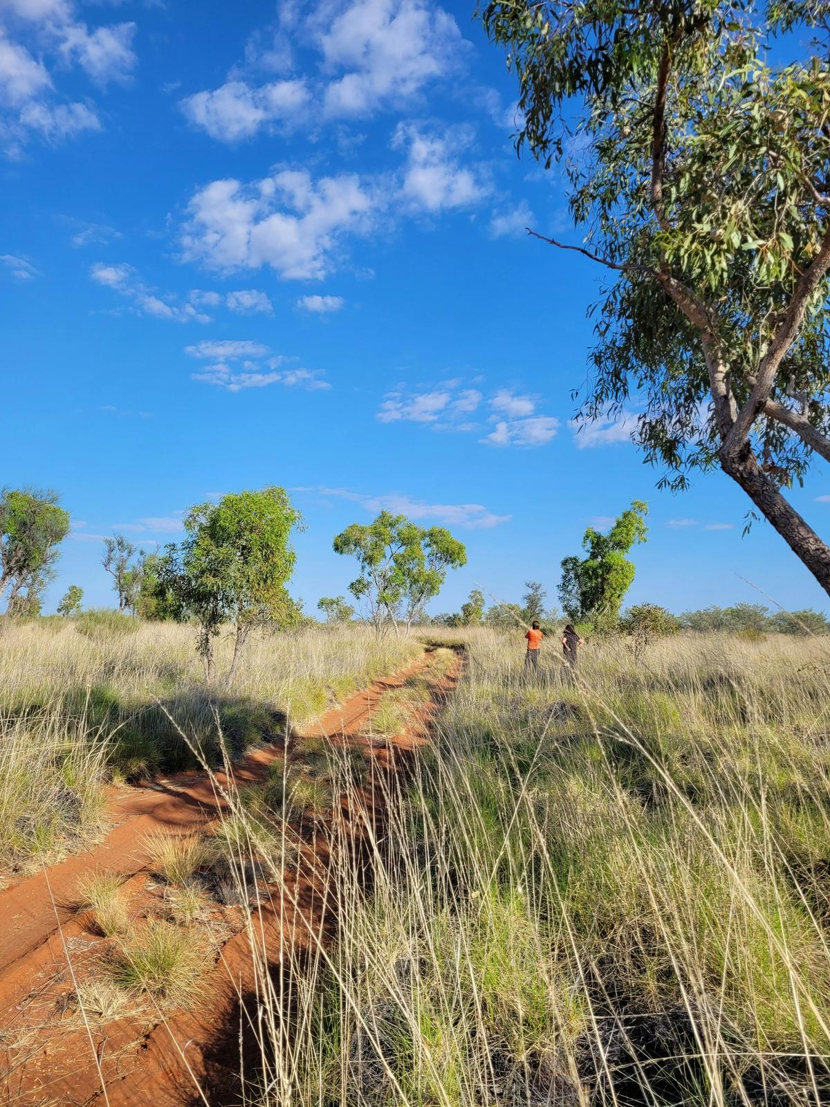 Canning Stock Route 4WD Tagalong Tour