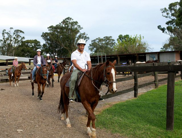 Sydney Horse Riding Centre