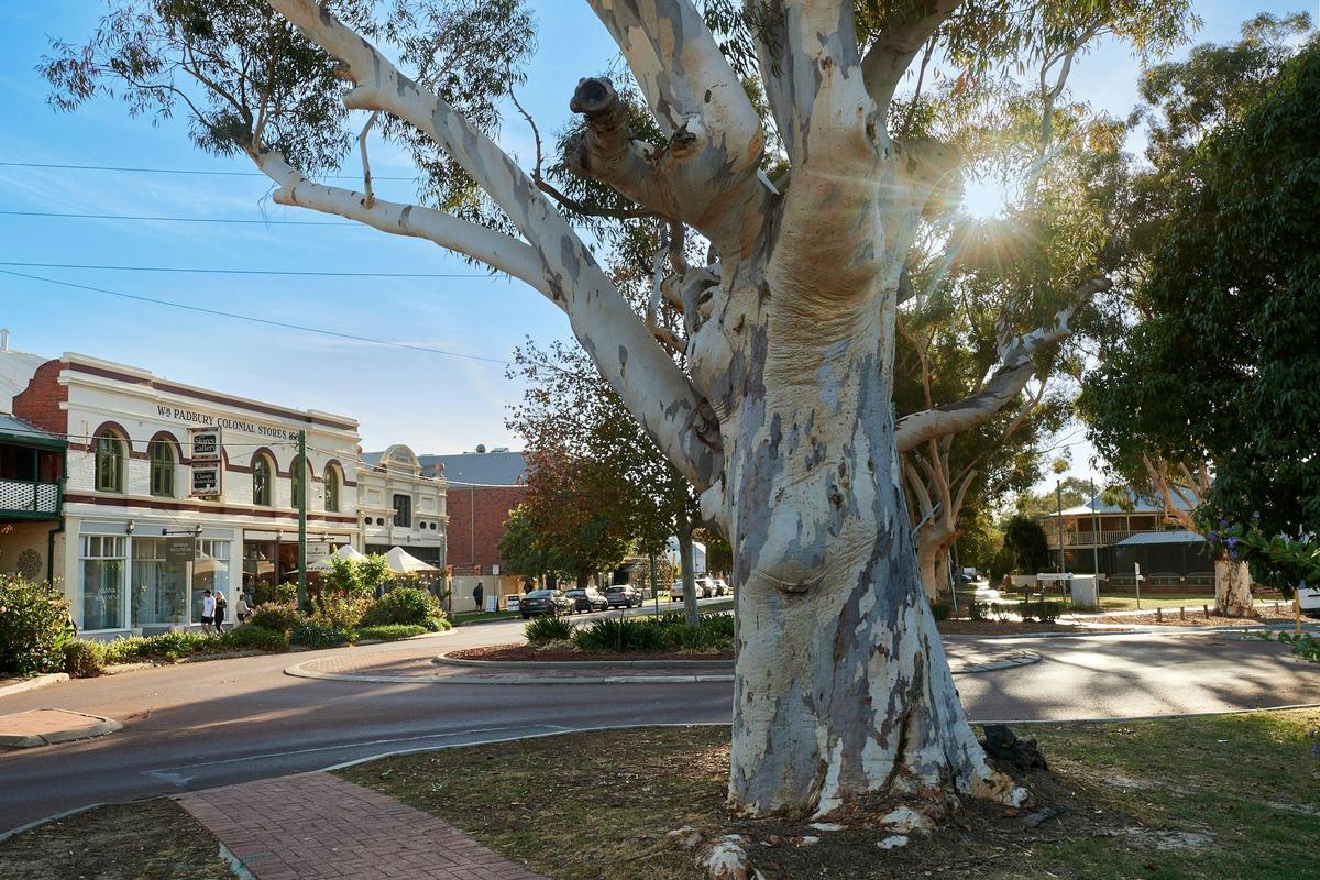 Beautiful Padbury Store Precinct