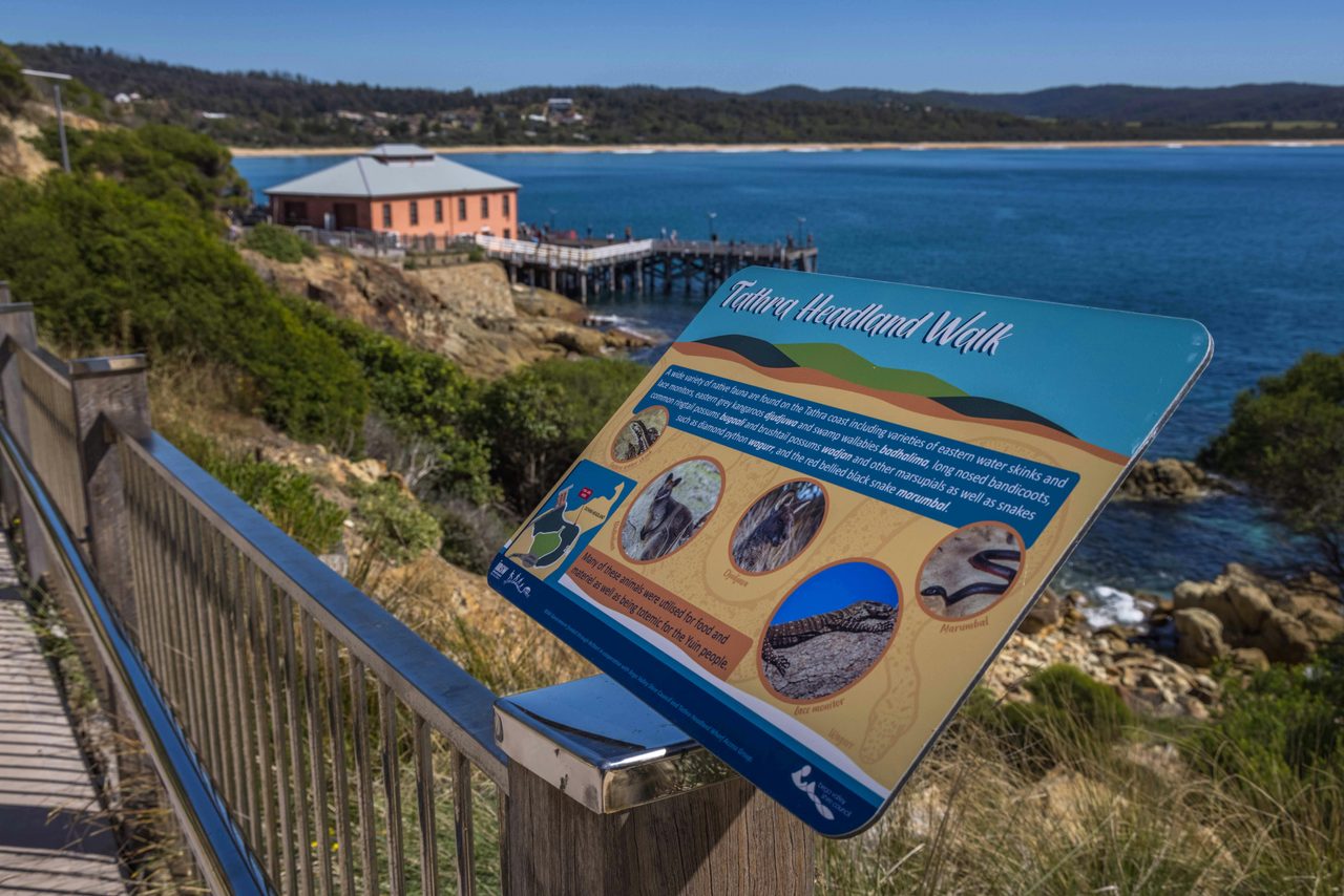 Tathra Headland Walk