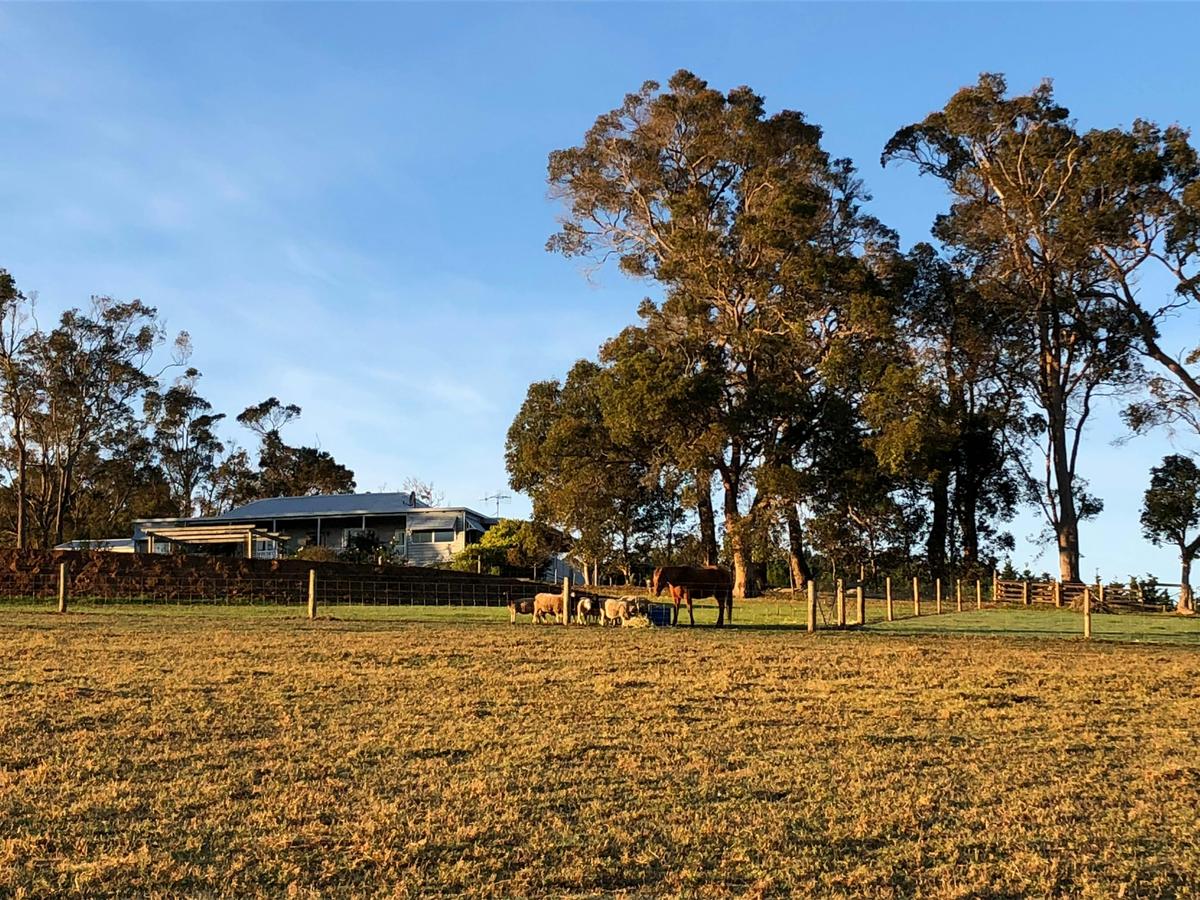 The Grange on Kalgan