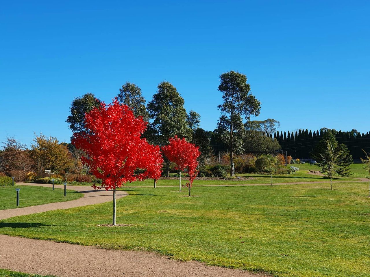 Autumn colour