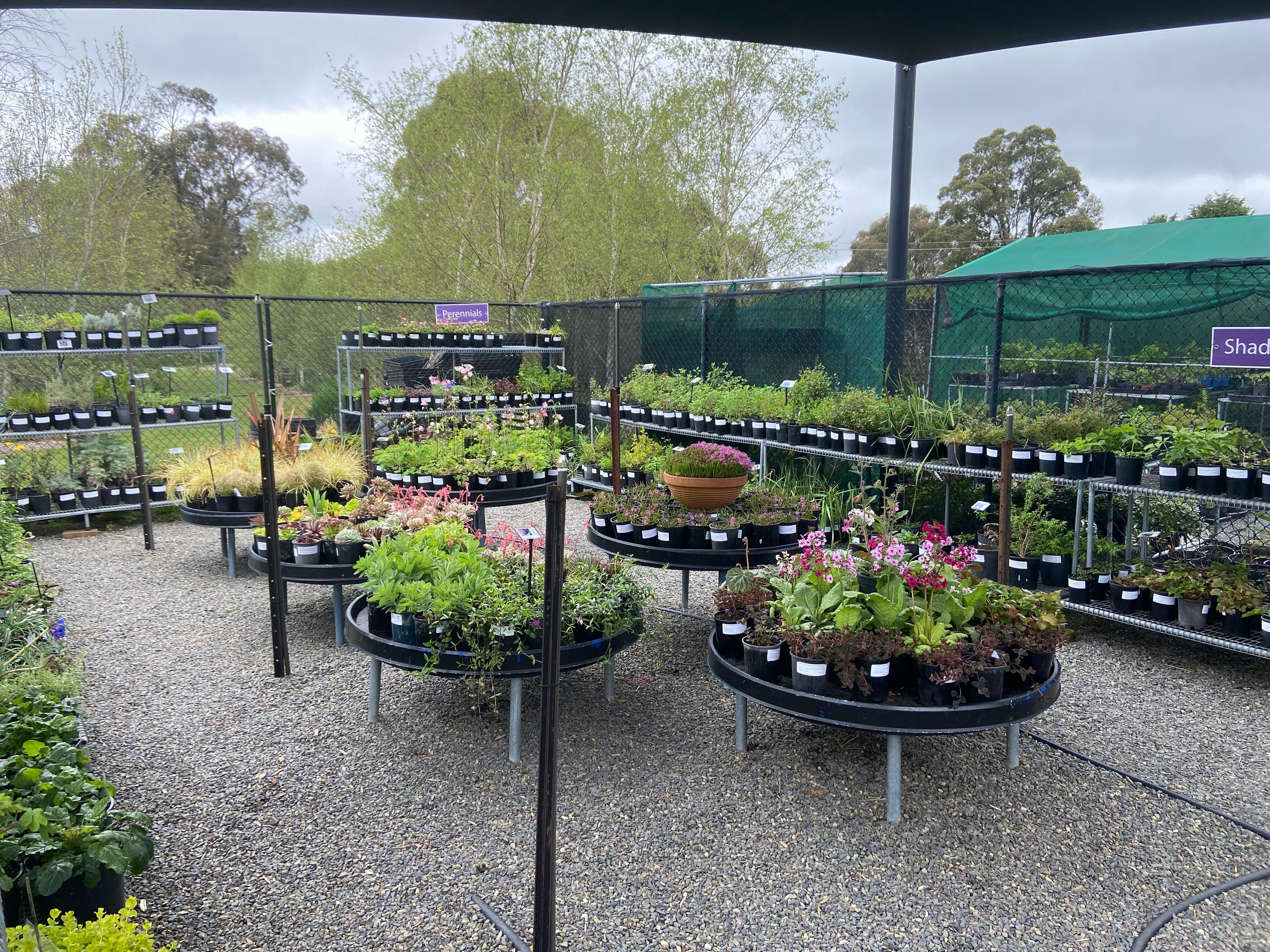 Plant Nursery open Tuesdays and Thursdays