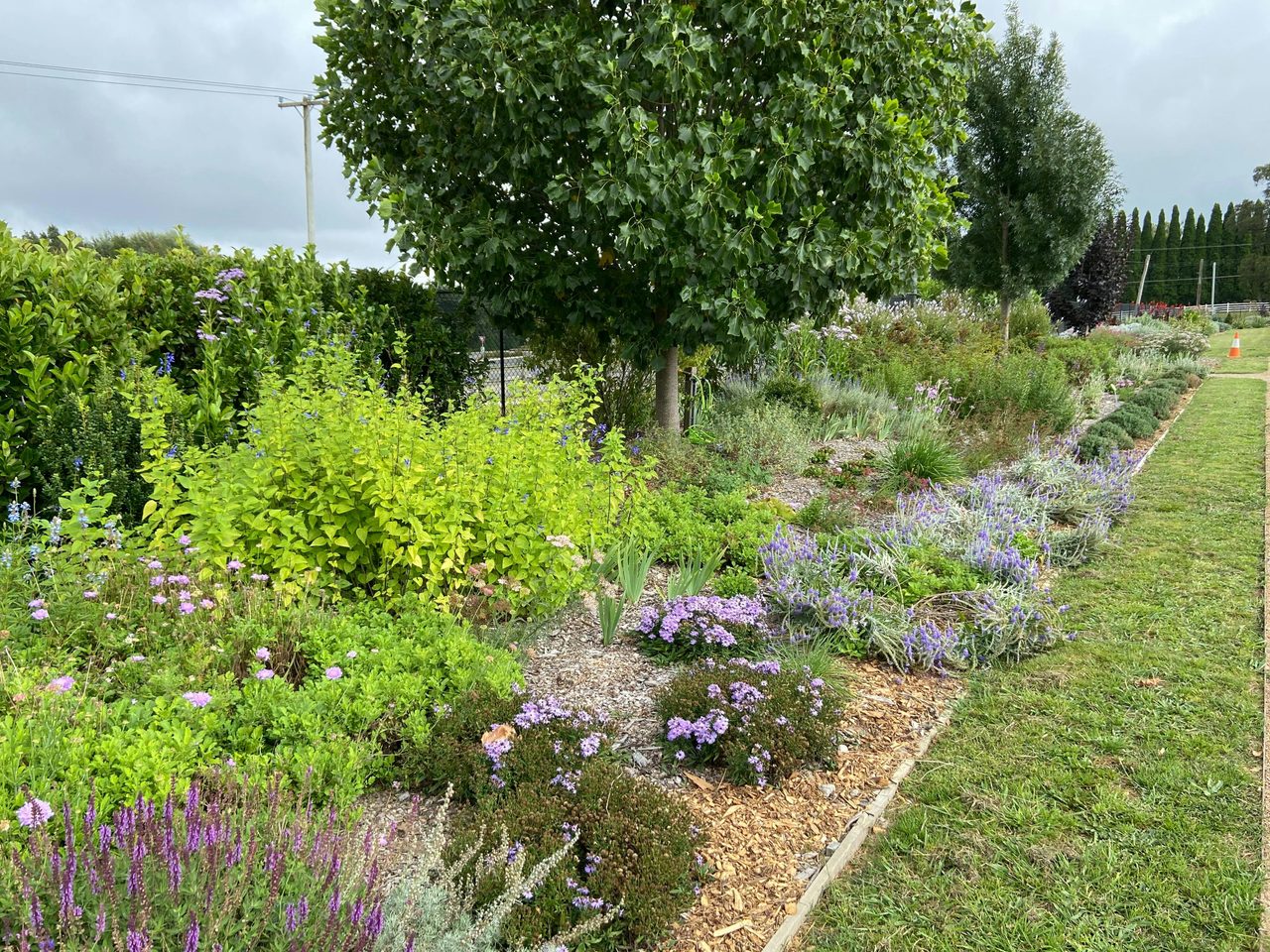 Autumn border