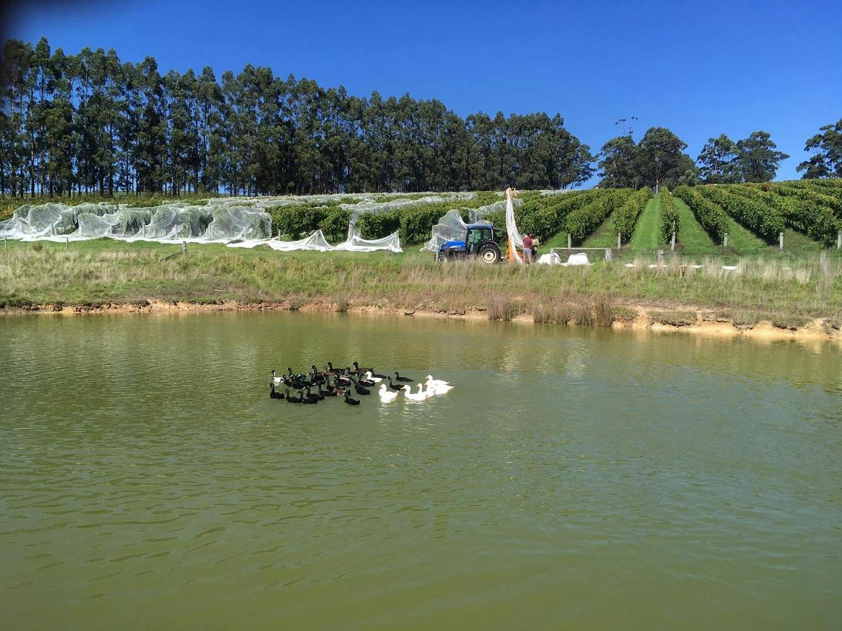 Harewood Estate, Denmark, Western Australia