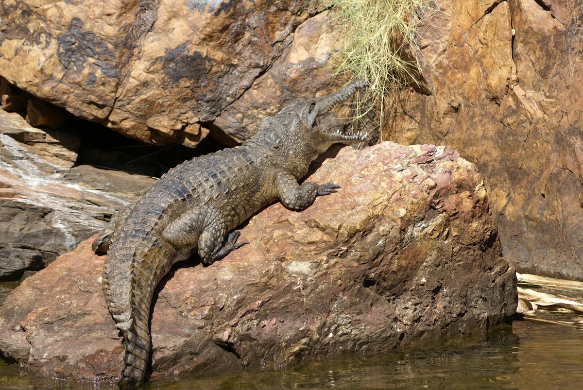 Lake Kununurra Sunset Dinner Tour