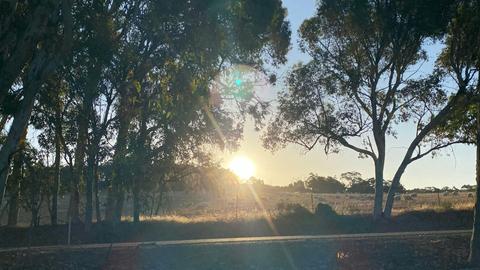 Gumtree Gully Cottage