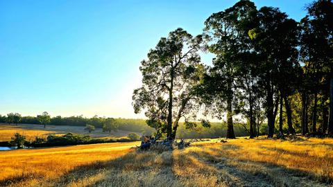 Hart and Soul Country Farmstay