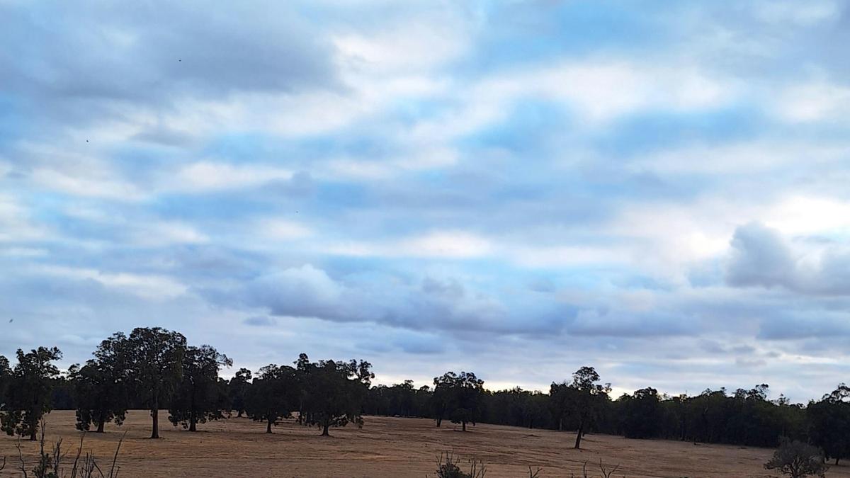Hart and Soul Country Farmstay