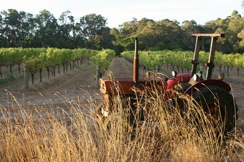 Cape Grace Wines