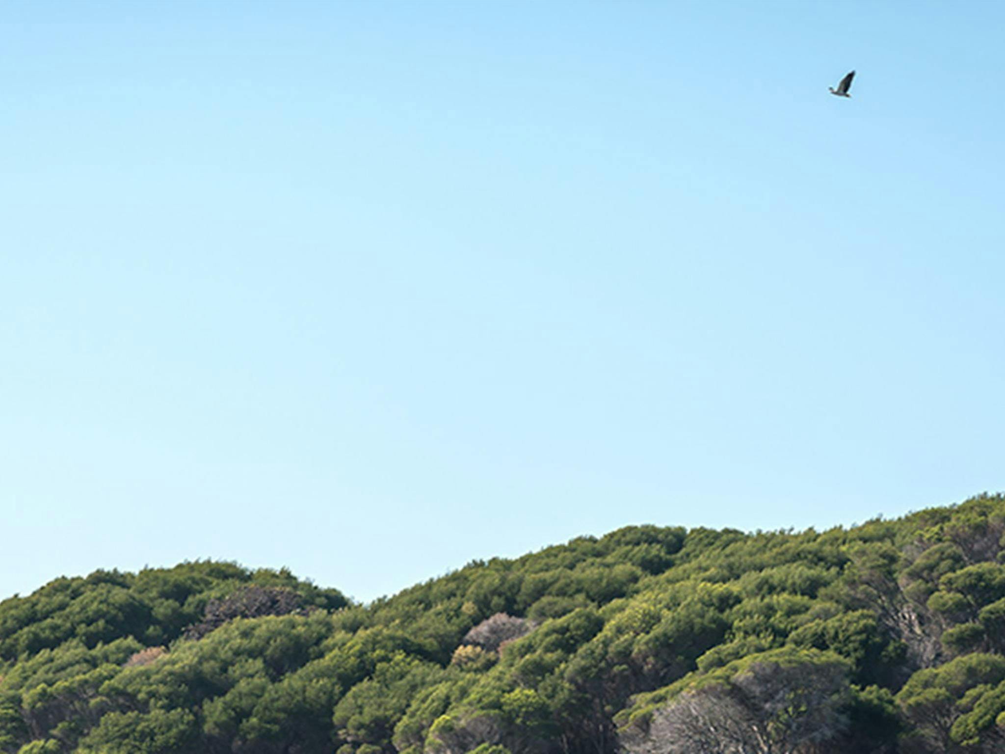 Terrace Beach and Lennards Island, Beowa National Park. Photo: John Spencer