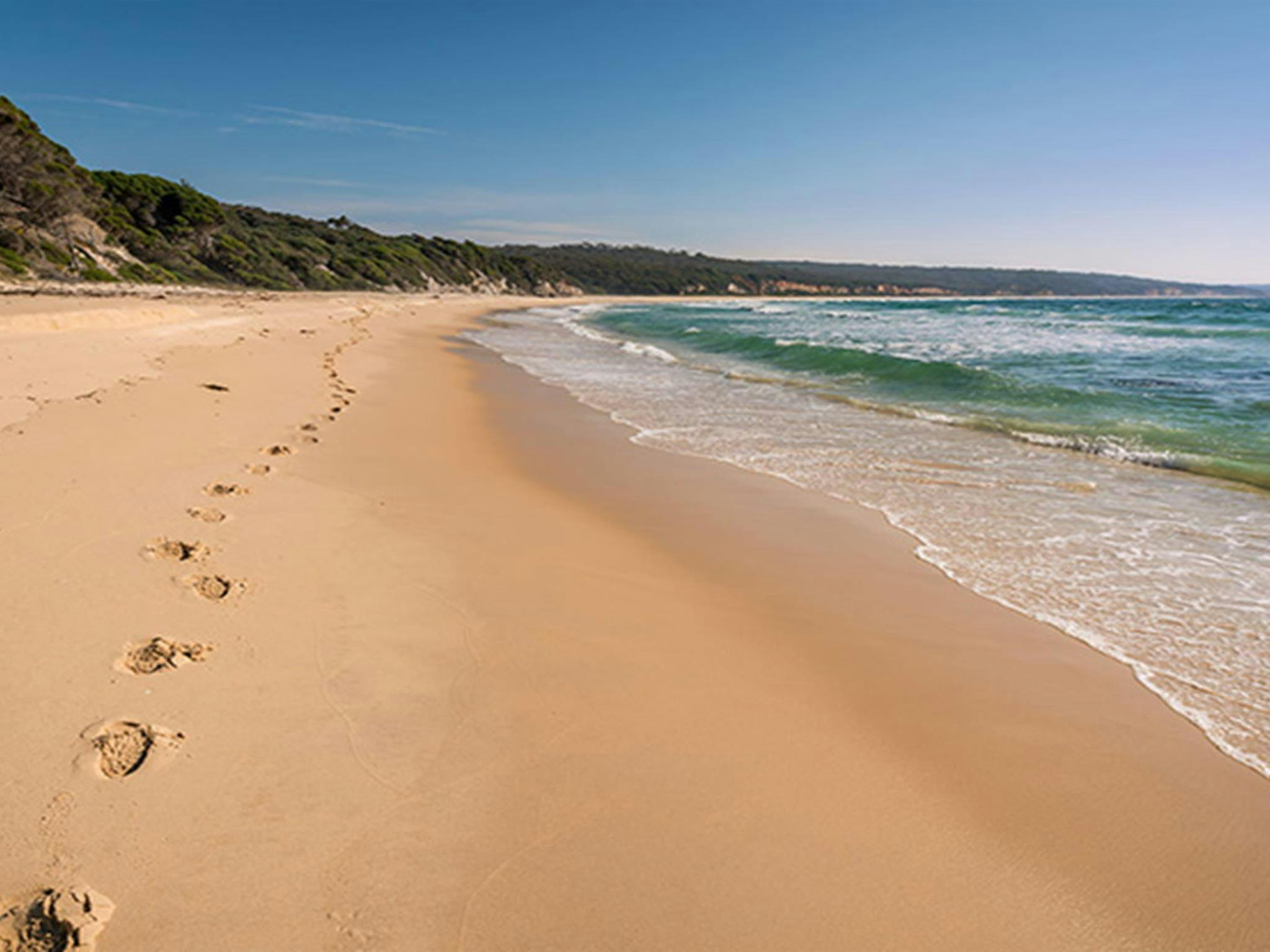 Terrace Beach and Lennards Island, Beowa National Park. Photo: John Spencer &copy; OEH