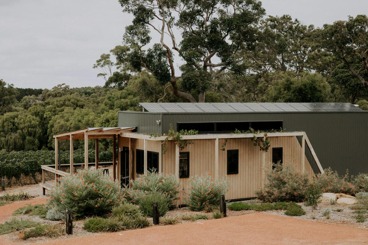 Cellar Door