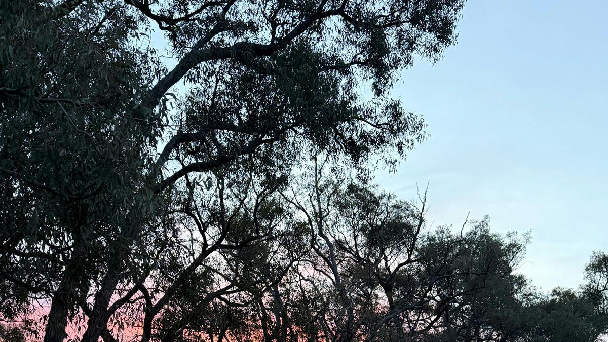 Julimar Forest Camp