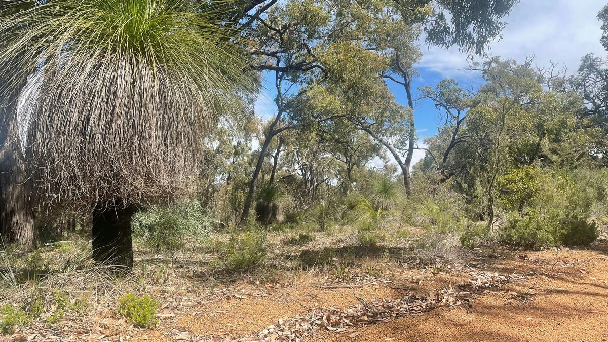 Julimar Forest Camp