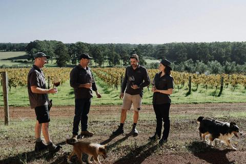 Exclusive Vineyard Wine and Culinary Tour