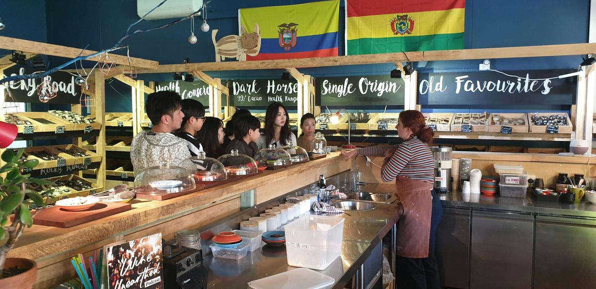 Half Day Wine and Food Tour