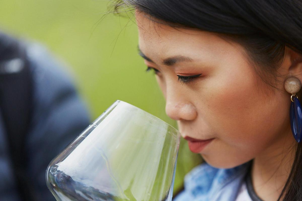 Premium Full Day Wine Tour