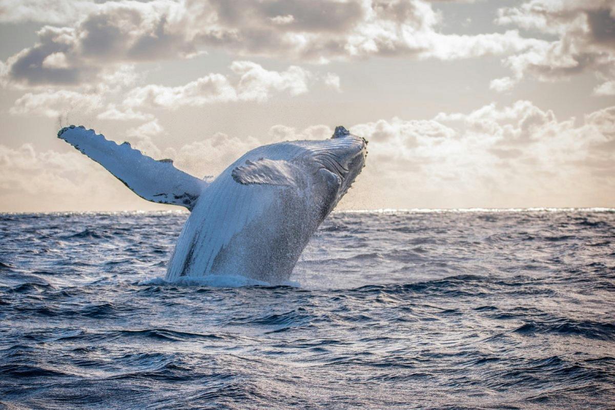 Experience Margaret River and Southwest Regions Extended Seven day Tour