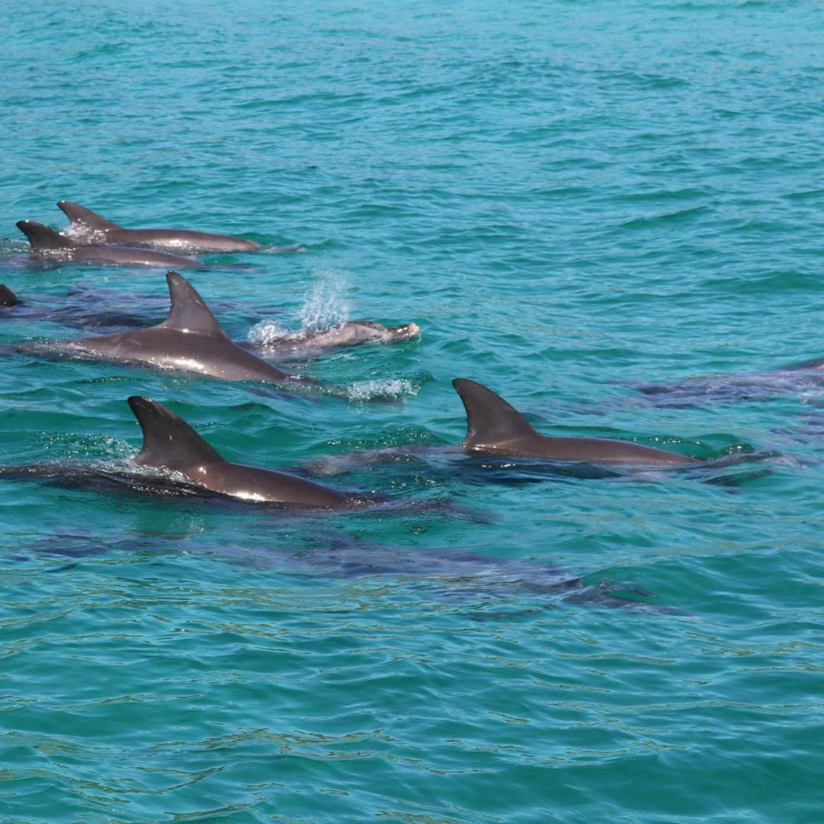 Three Day Charter Margaret River Region (ex Perth - road)