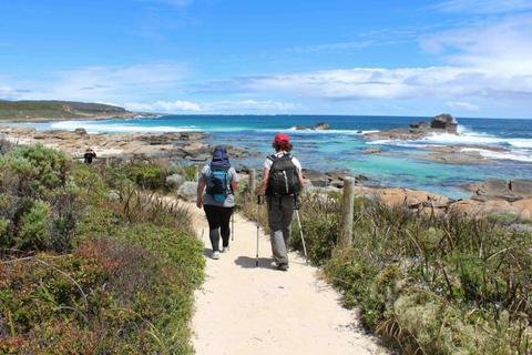 Private Six Hour Guided Hike Experience on the Cape to Cape Track