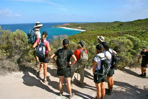 Cape to Cape Explorer Tours