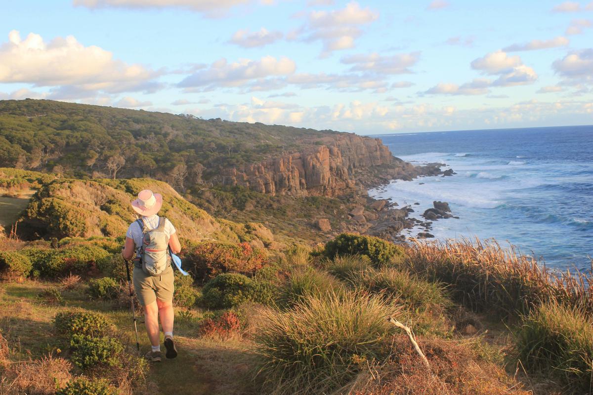 Looking south over Wilyabrup Cliffs