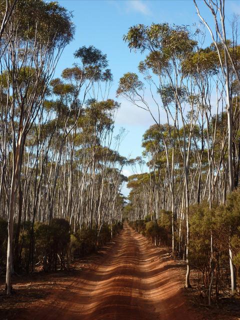 John Holland Track