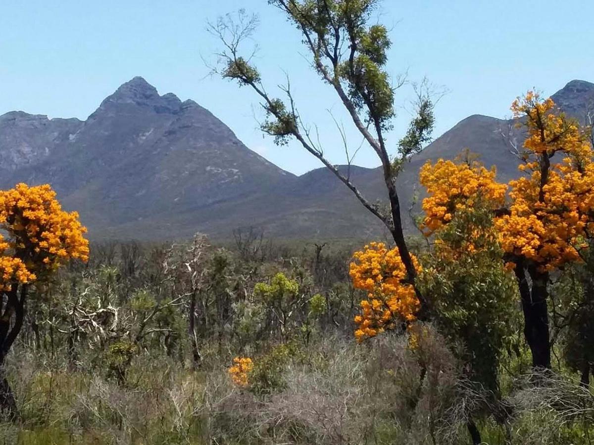 Stirling and Porongurup Range Epic Mountain Country Trails Experiences and South Coast Highlights