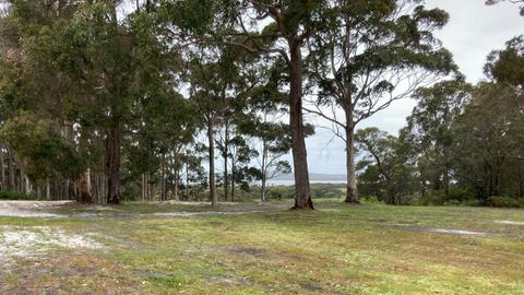 Irwin Inlet Views