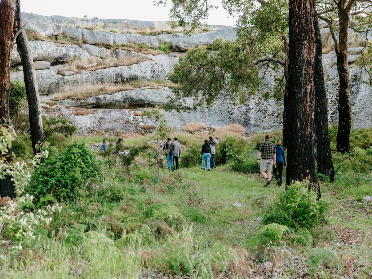 they are walking back to camp