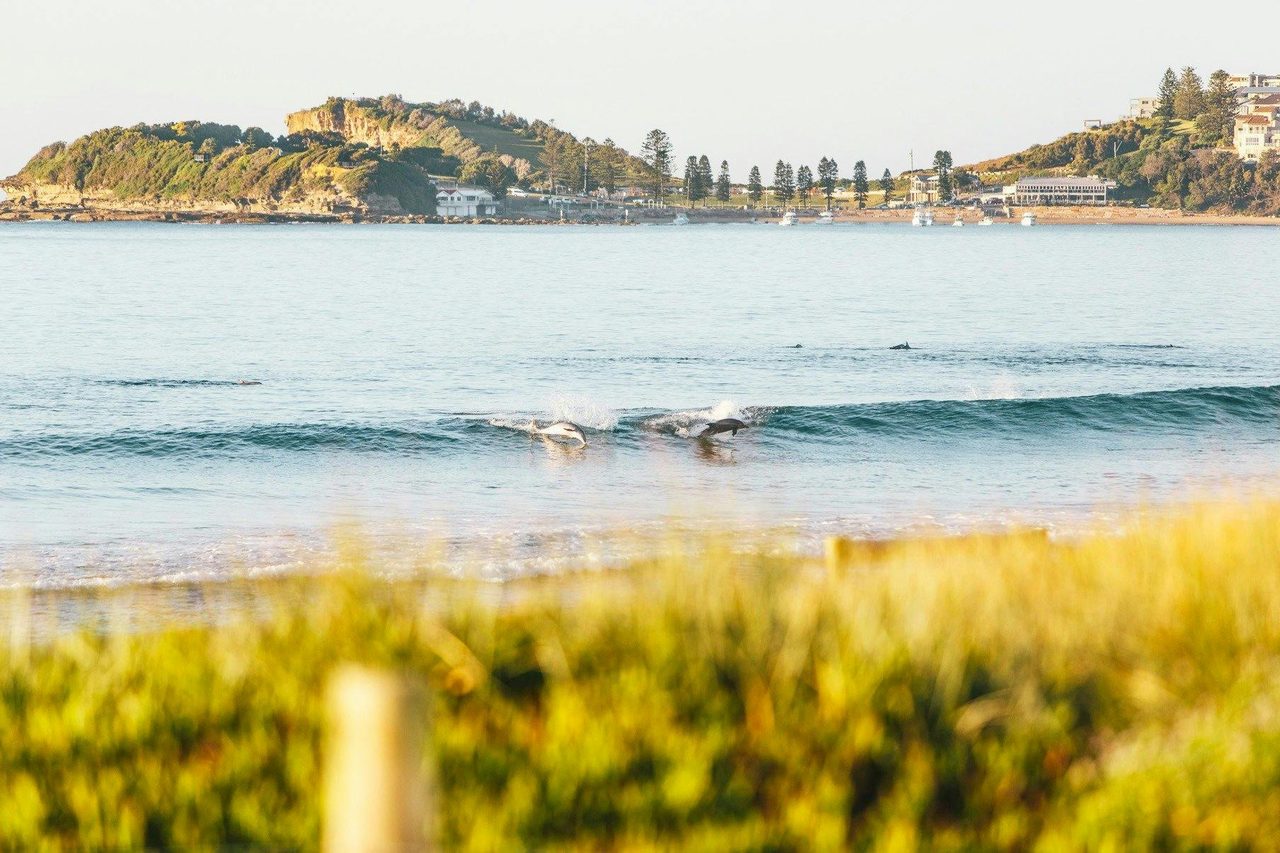 Terrigal Beach, Terrigal