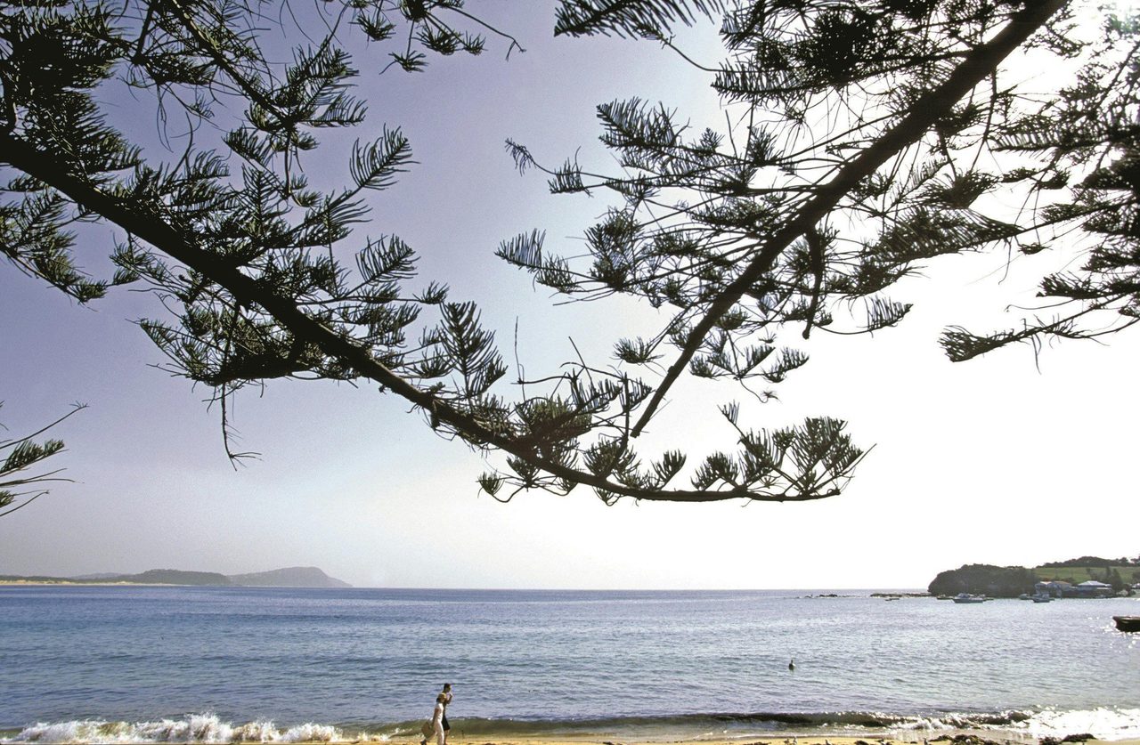 Terrigal Beach