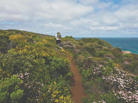 Hike Western Australia's Cape to Cape Track