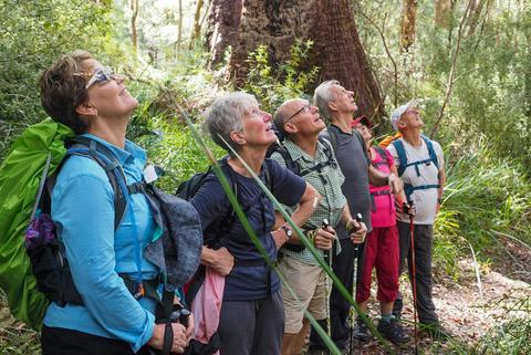 Hike the Bibbulmun Track: Walpole to Denmark
