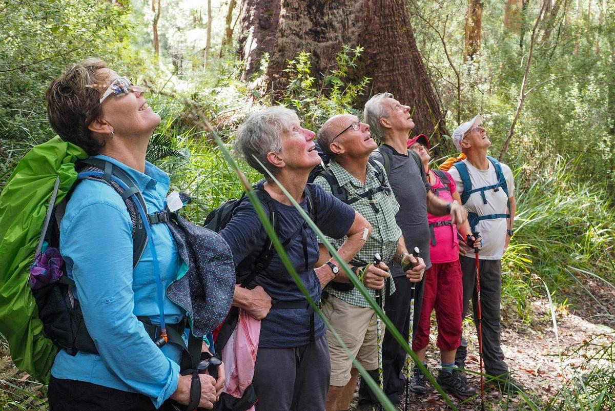 Hike the Bibbulmun Track: Walpole to Denmark
