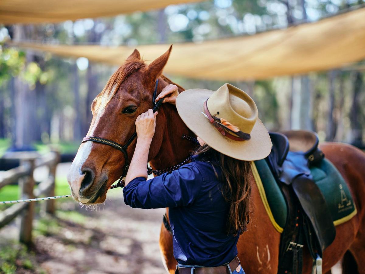 Country Lane Tour