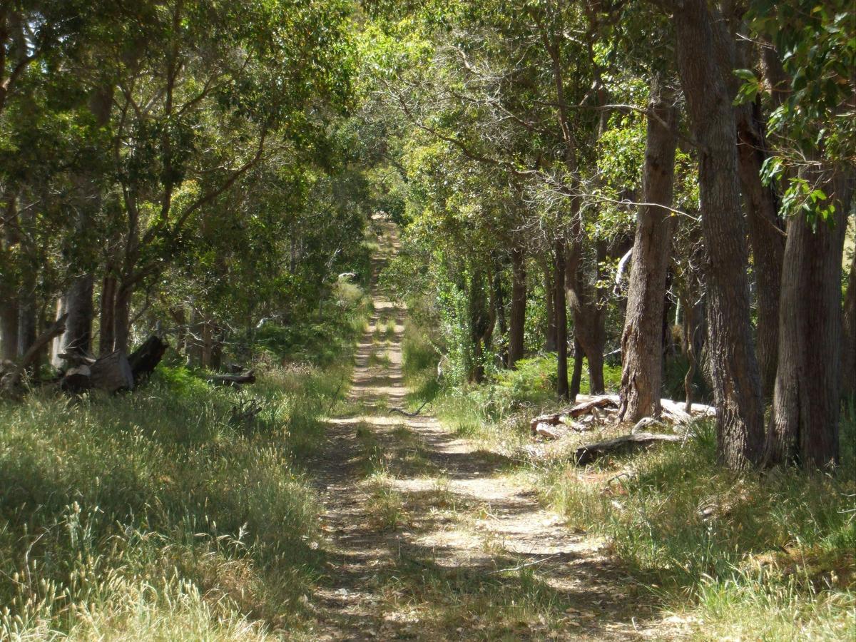 Country Lane Tour