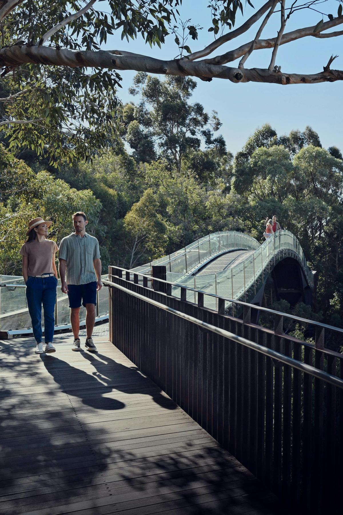 Kings Park and Botanic Garden