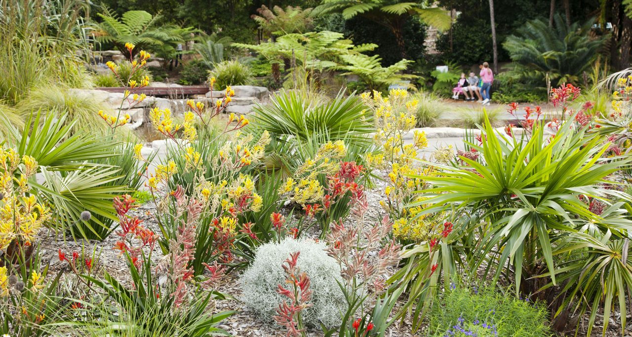 The Connections Garden