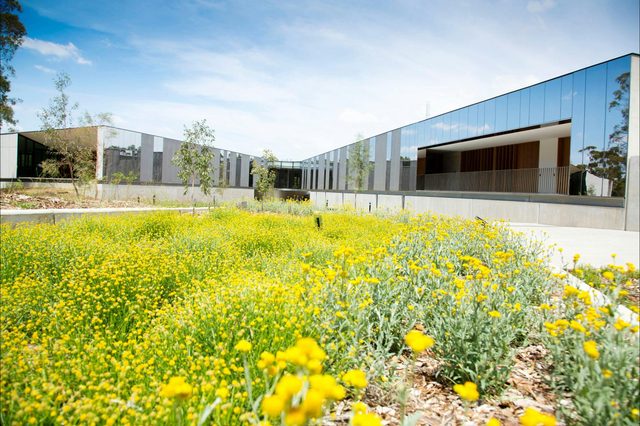 The Australian Botanic Garden Mount Annan