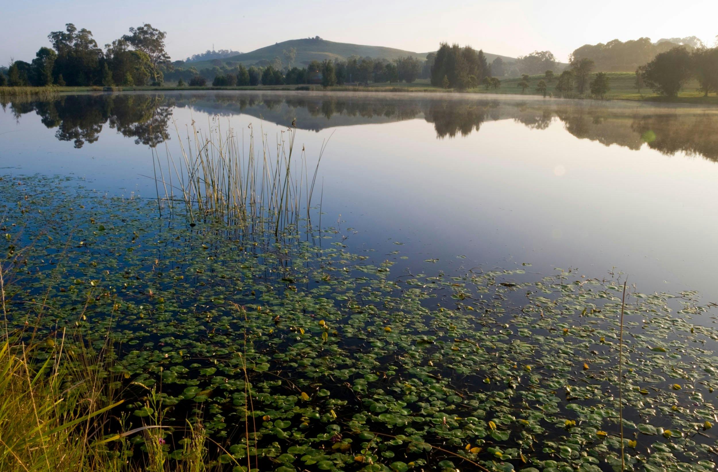 Views to Mount Annan across Lake Fitzpatrick