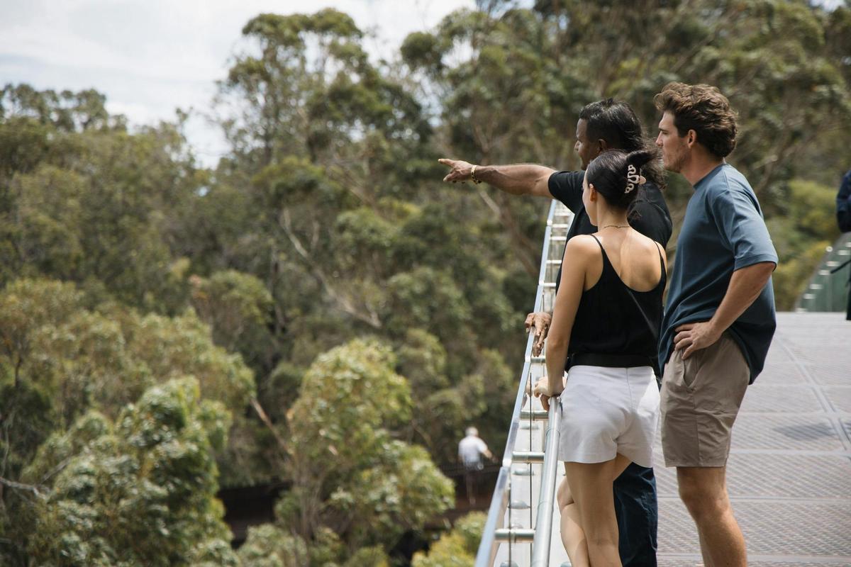 Experience Culture in Kings Park (Kaarta Gar-Up) 90-minute Cultural Tour