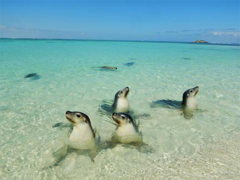 Jurien Bay Marine Park