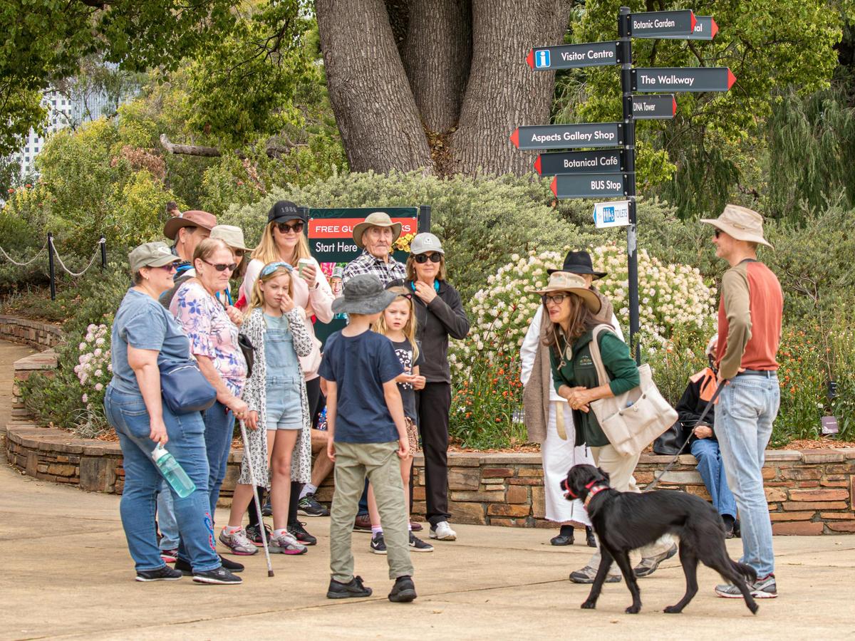 Discover Kings Park