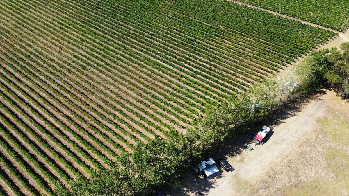 Jarvis Estate Winery and Camping