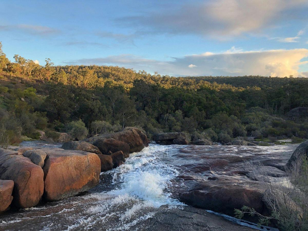 John Forrest National Park