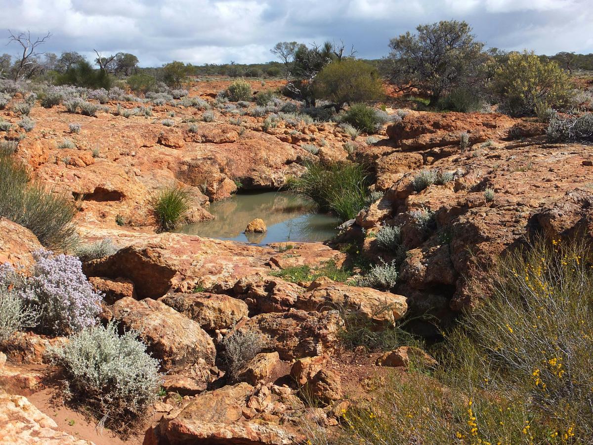 Waterhole along the Breakaway Loop four-wheel-drive track