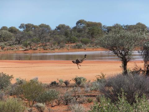 Karara Rangeland Park