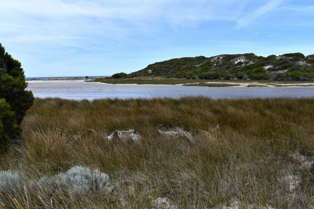 Jorndee Creek